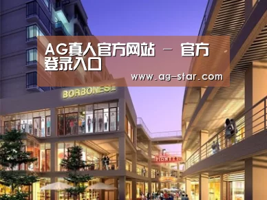 案例展示一