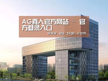 案例展示四
