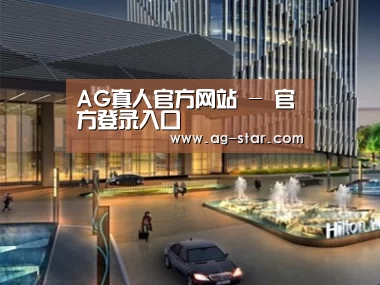 案例展示二